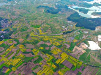 缤纷田园是哪个公司的及缤纷田园是哪个公司的产品