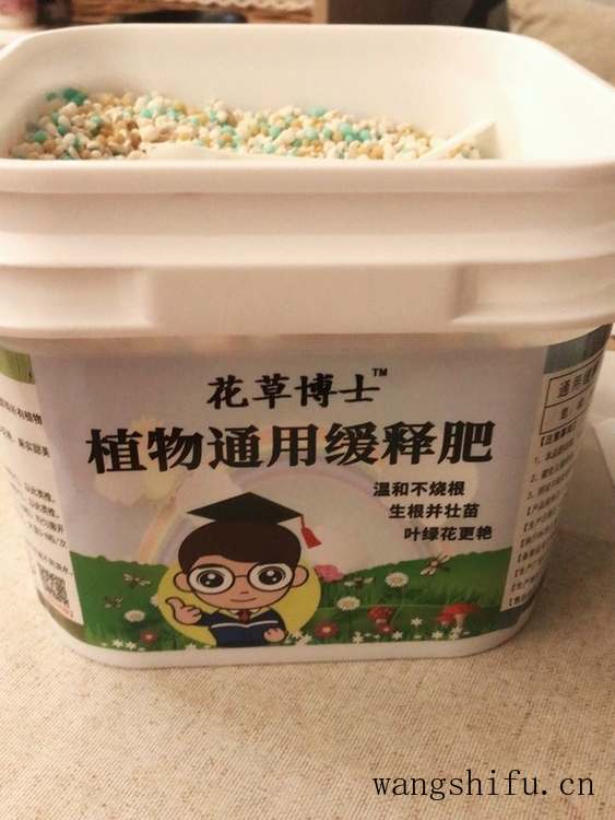 全国哪个宜家最大（全国哪家宜家最大）