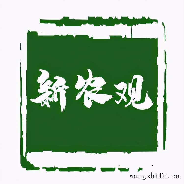 瓦片及瓦片屋顶图片：传统与美丽并存的屋顶建材
