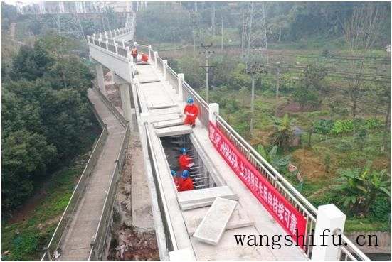 绿地面积包括哪些面积