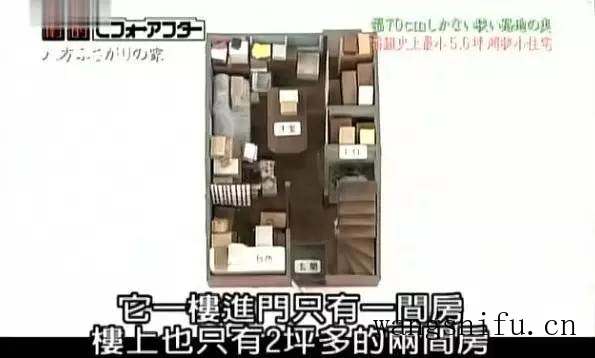 皇家KS34配料表及其特点分析 皇家KS34配料表及其特点分析