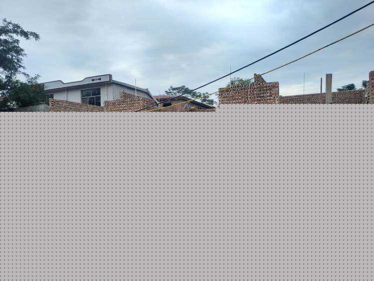 卷材塑胶地板哪个靠谱（卷材塑胶地板价格）