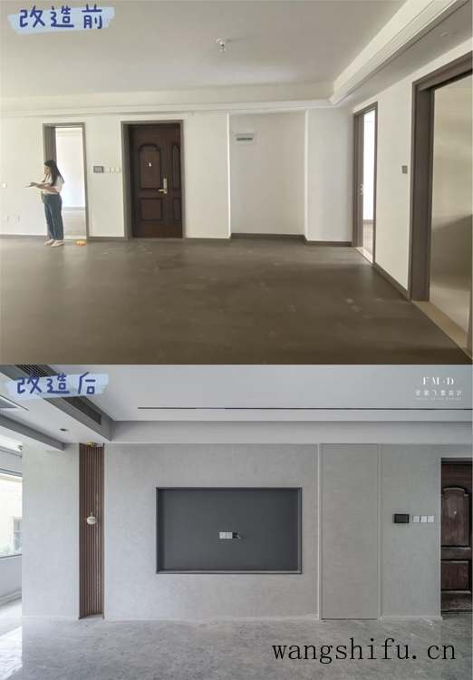 宠物狗贵宾（宠物狗贵宾犬图片）