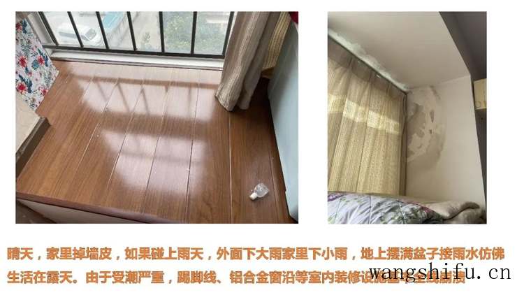 墙衣靠谱吗？