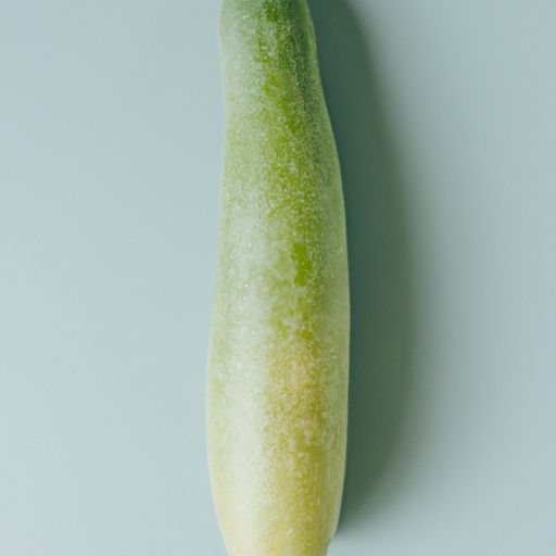 笋瓜