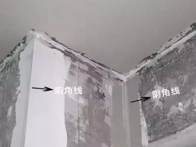 伟星和中财哪个贵（伟星和中财哪个好）
