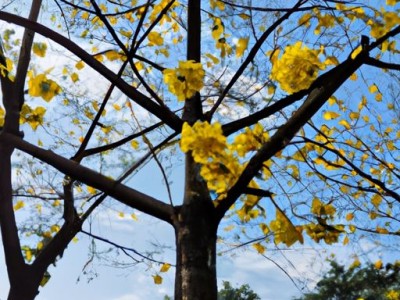 中山和花都哪个比较好？