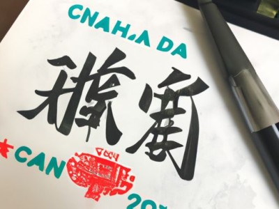 哪个品牌笔记本寿命长？