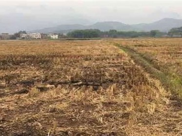 土地流转能否改变土地用途