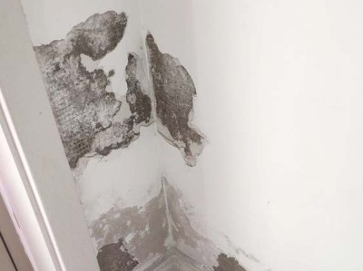 泰式风格