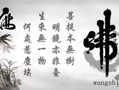 墙面涂装如何选择彩色涂料？