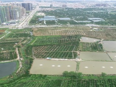 土地买卖的方式