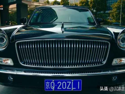 袖珍椰子（袖珍椰子的养殖方法和注意事项）