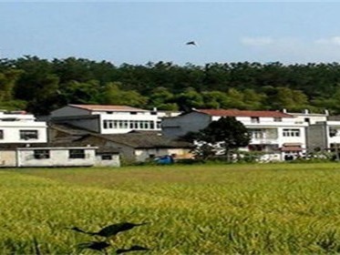 自建房和宅基地有什么区别