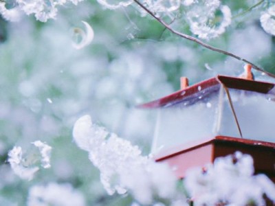 樱花与樱雪油烟机哪个好及樱花与樱雪油烟机比较