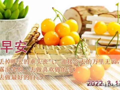 扇灰和墙漆哪个好（扇灰和墙漆哪个好看）