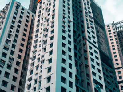 重楼的功效与作用及其相关知识