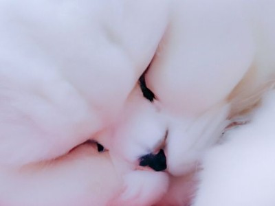 什么是环保油漆