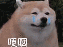 测甲醛的仪器哪个牌子好（测甲醛的仪器哪个牌子好,多少钱?）