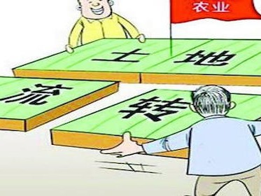 浙江农村土地流转补贴标准是什么