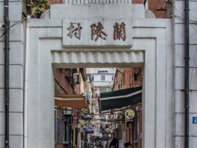 酸枝和芳纶纤维哪个好（芳纶树脂和芳纶纤维差别）