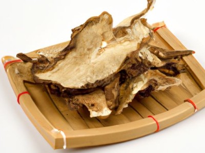 鸡枞菌及鸡枞菌图片详解