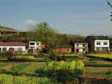 耕地能申请宅基地吗