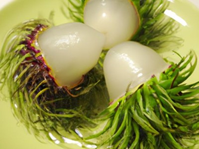 涂料有哪些用途 解析涂料在家庭装修中的作用