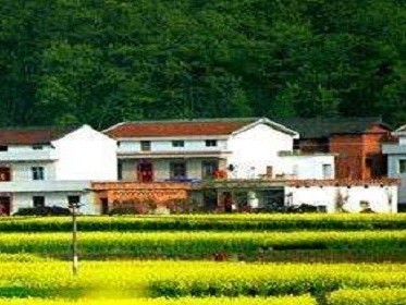 农村宅基地补偿新标准是什么