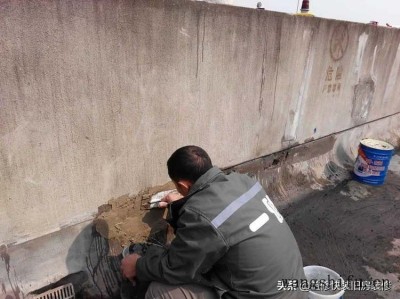 齿缘吊钟花