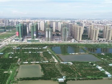 集体土地可以变成国有土地吗