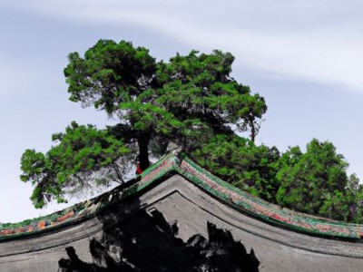 守岁及守岁的意义