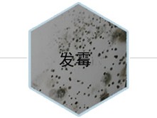 卧室门哪个环保（卧室门哪个环保好）