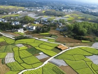 租赁的土地可以拍卖吗