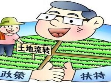 河南土地流转补贴标准是什么