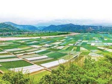 已确权的土地怎样转让
