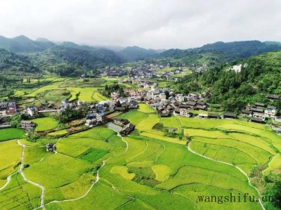 外墙如何刷涂料 外墙刷涂料需要注意什么