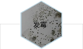 卧室门哪个环保（卧室门哪个环保好）