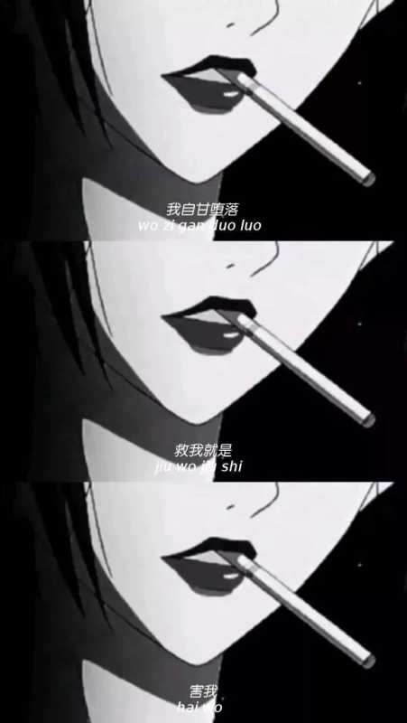 壁纸 |<img src=