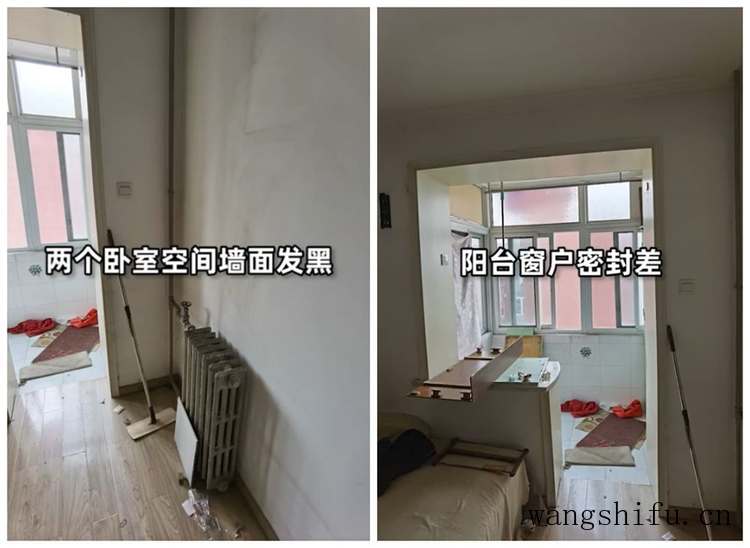 三裂叶豚草（三裂叶豚草图片）