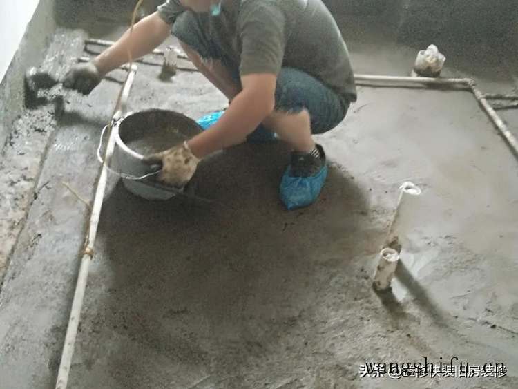 伽蓝菜（伽蓝菜图片与功效）