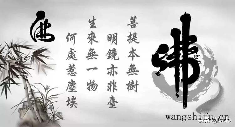 液体壁纸和壁纸哪个好