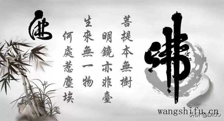 吊床（吊床绳子怎么绑）