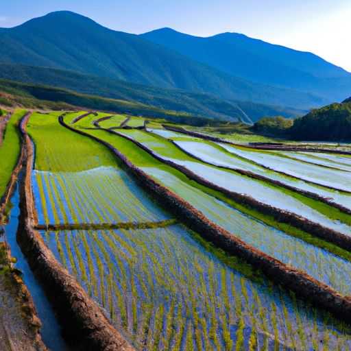 田园风格