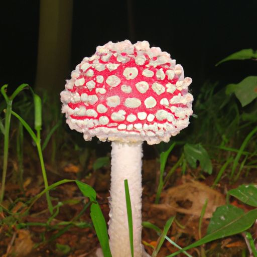 小雨伞打不开