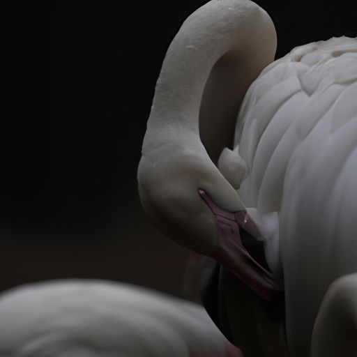 流感h7n9