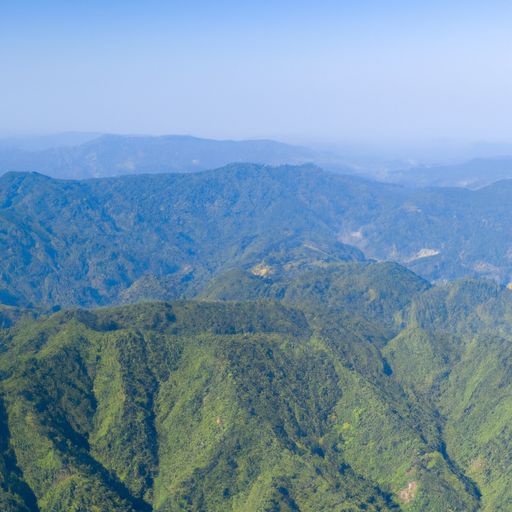莫干山地板
