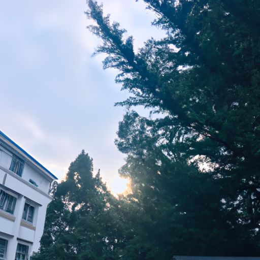 涂料选购三步走 科学选购墙面漆