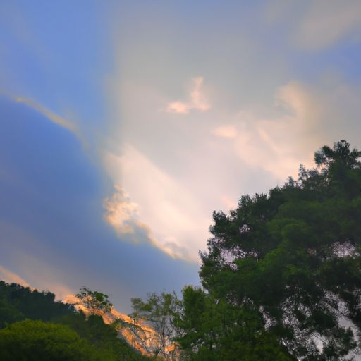 光触媒是什么