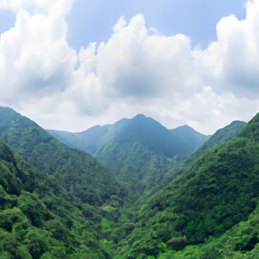 野山参